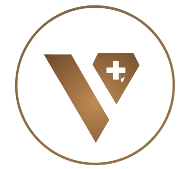 About Us - ValuePlus Global Solutions Limited